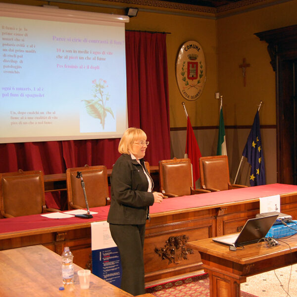 Silla Stel